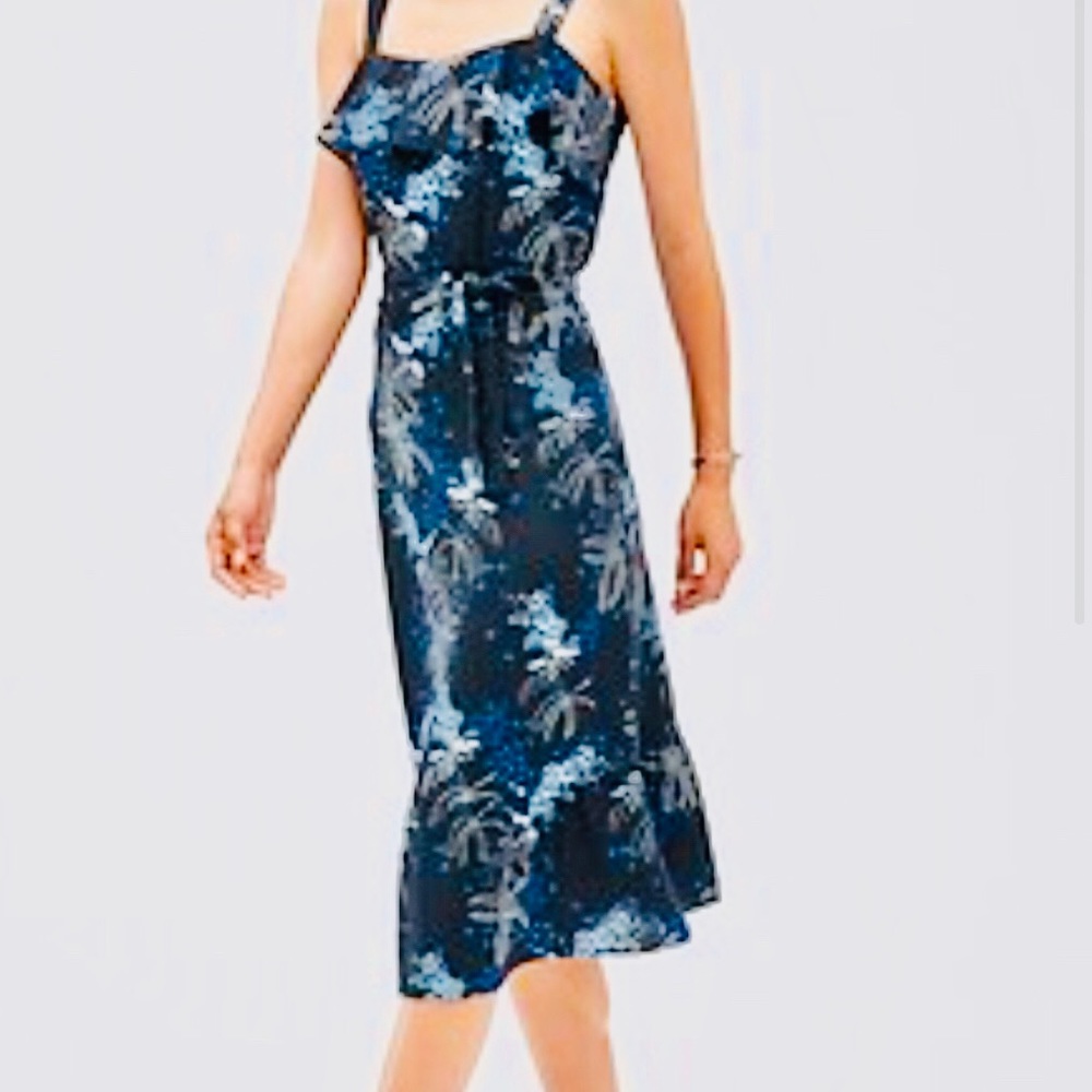 Banana Republic Dress